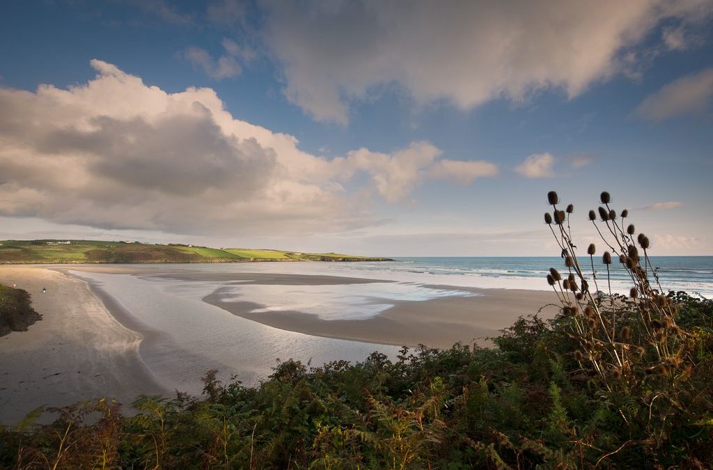 5 FOR 5: 5 Benefits of taking a Winter Swim and 5 places to take the plunge in West Cork. 