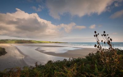 5 FOR 5: 5 Benefits of taking a Winter Swim and 5 places to take the plunge in West Cork. 